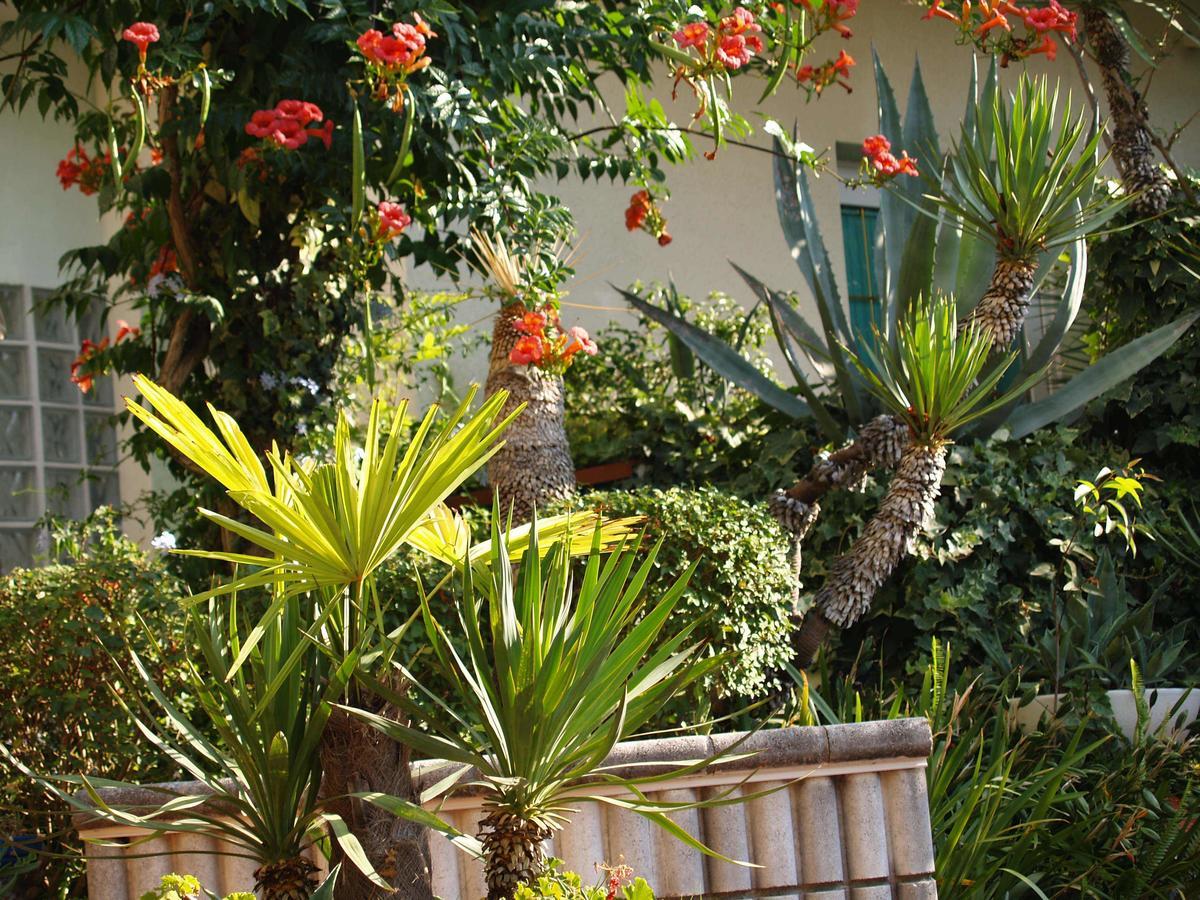 Residenza Zaccolo Apartment Lignano Sabbiadoro Bagian luar foto
